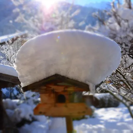 Haus Tirolerland Guest house Mayrhofen