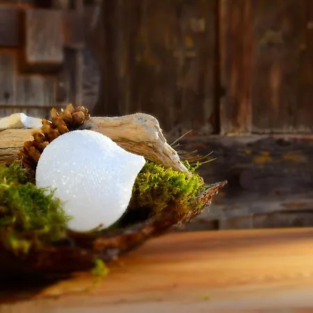 Haus Tirolerland Guest house Mayrhofen