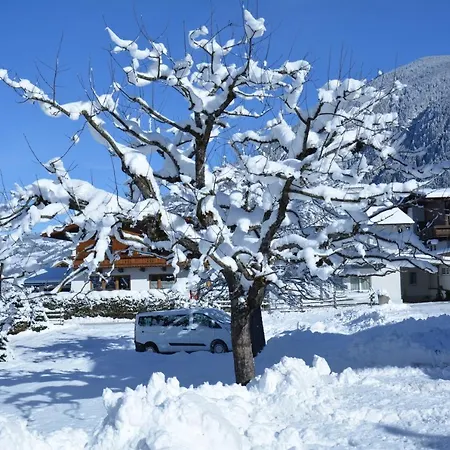 Guest house Haus Tirolerland Mayrhofen