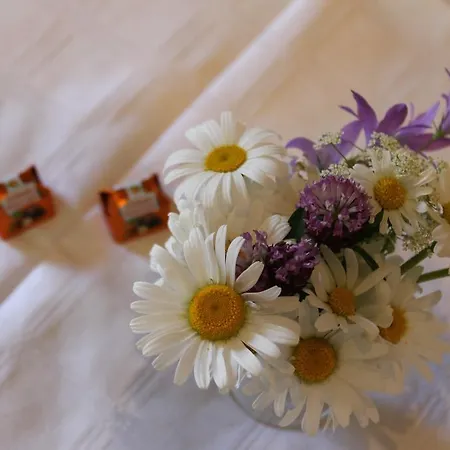 Guest house Haus Tirolerland