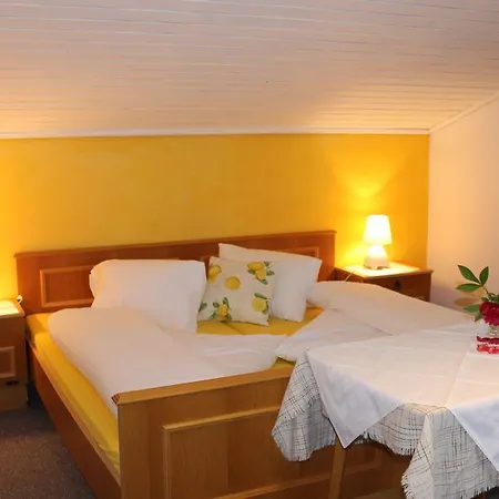 Guest house Haus Tirolerland 3*