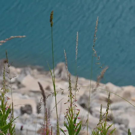 Guest house Haus Tirolerland