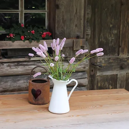 בית הארחה Haus Tirolerland מאיירהופן