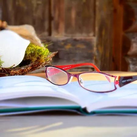 בית הארחה Haus Tirolerland מאיירהופן