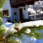 Haus Tirolerland 3* Mayrhofen